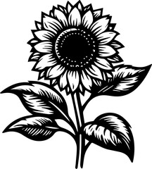 a self-made illustration
