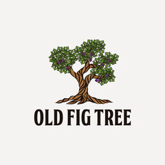 hand drawn old fig tree logo design