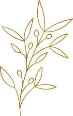 Hand drawn botanical leaf line art vector