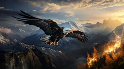 Foto op Canvas Bald Eagle Soaring Through Wintry Mountain Landscape © senadesign