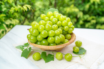 Green Grape in Bamboo basket on wooden table in garden, Shine Muscat Grape with leaves in blurred greenery background.