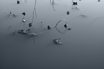 凍てつく池_frozen pond