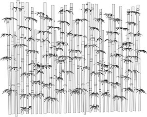 Vector sketch illustration of bamboo plant background design