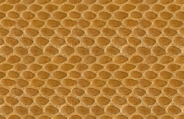 Seamless Snakeskin Tan Leather Texture