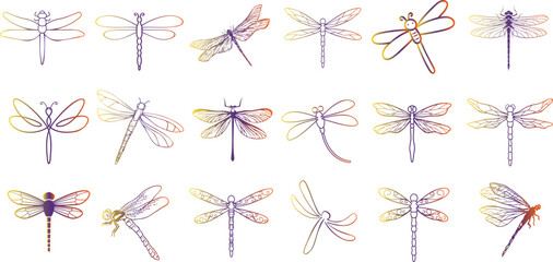dragonfly vector illustration Vibrant, hand-drawn featuring a seamless pattern of colorful dragonflies. Perfect for spring and summer designs, 