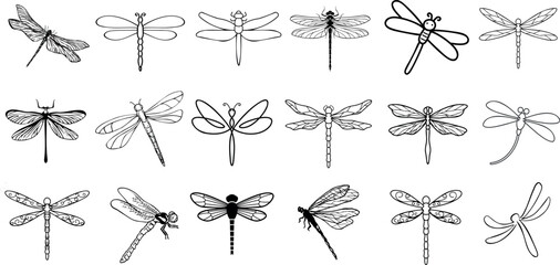 Dragonfly vector illustration set, hand-drawn, isolated on a white background. Collection of 18 unique dragonflies, High-quality, detailed sketches capturing the beauty of these summer insects - obrazy, fototapety, plakaty