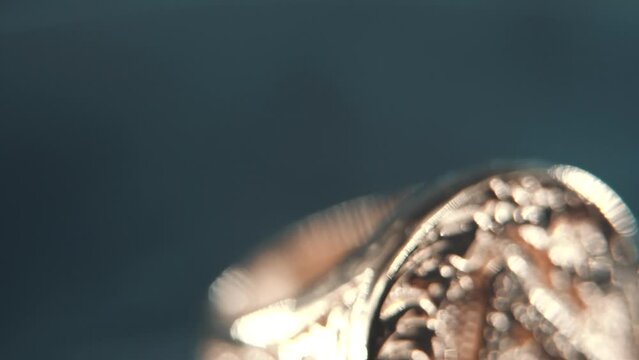 A macro detailed tilt up shot of a golden textured freemasons ring, on a rotating stand, illuminati symbol, professional studio lighting, 4K video