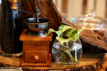 Coffee grinder and plant in glass jar on wooden table