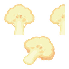 カットホワイトカリフラワーセット