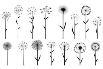 Dandelion Signs Black Thin Line Icon Vector Set isolated on white background. generative ai.