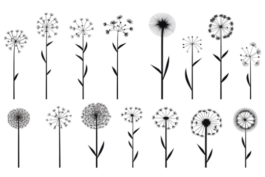 Dandelion Signs Black Thin Line Icon Vector Set isolated on white background. generative ai.
