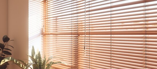 Low angle view of a room with chic windows featuring horizontal blinds