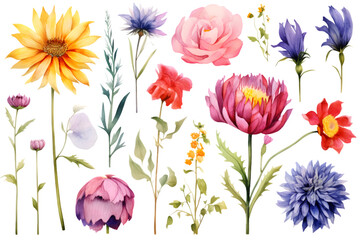 Flowers set with colorful wildflower. Dahlia, lily, poppy and cornflower, watercolor floral isolated on white background. generative ai. - obrazy, fototapety, plakaty