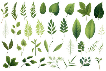 Green leaves big vector collection. generative ai.