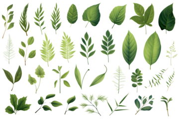 Green leaves big vector collection. generative ai.