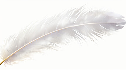 White feather isolated on transparent background - obrazy, fototapety, plakaty