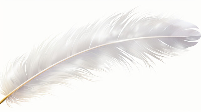 Fototapeta White feather isolated on transparent background
