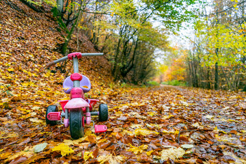Herbstweg Waldweg mit Laubfärbung