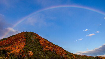 紅葉と虹　秋　絶景