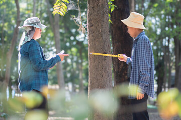 Young asian schoolboy measuring a size of tree trunk with a measuring tape and recording...