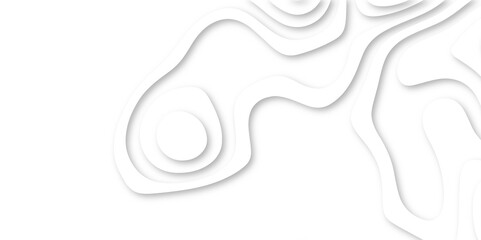 Abstract white papercut background 3d realistic design use for ads banner and advertising print design vector.	