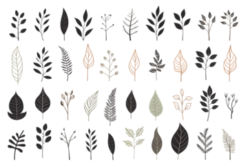 Set of silhouettes of branches and leaves. Hand drawn vector botanical elements. generative ai.