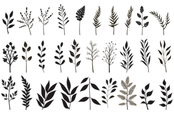 Set of silhouettes of branches and leaves. Hand drawn vector botanical elements. generative ai.