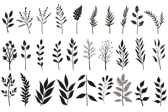 Set of silhouettes of branches and leaves. Hand drawn vector botanical elements. generative ai. - Powered by Adobe
