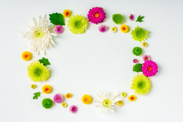 Small spring flowers arranged on white background