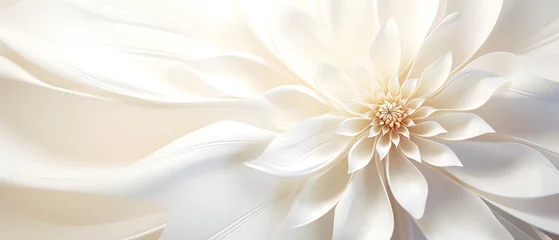 Foto op Plexiglas a close up of a white flower © Dranciuc