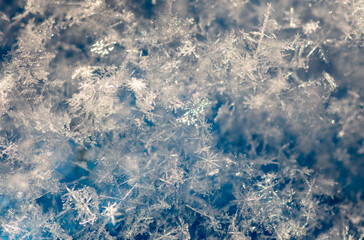 Close-up of snowflakes on a blue background. Macro