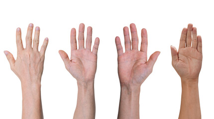 Group of hands raised up, Isolated on transparent background