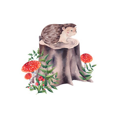 Hedgehog with fly agaric on a stump among firs, berries and porcini mushrooms. Watercolor illustration on an isolated background. Forest animals for children. Prickly character. - obrazy, fototapety, plakaty