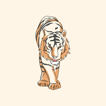 recommend clip art: Hidden Predator Tiger Grace Line Art