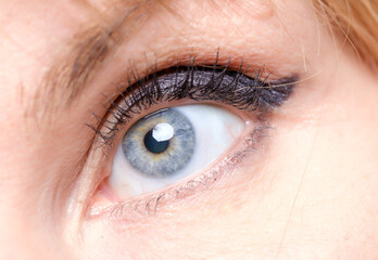 blue female eye and makeup close-up