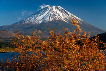 富士山と紅葉秋の本栖湖　Mt. Fuji and Lake Motosu in autumn foliage