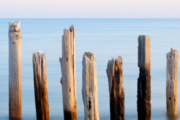 A row of wooden posts in the water on a beach