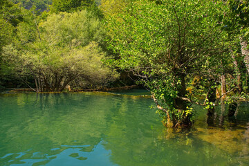 The River Una below Milancev Buk waterfall at Martin Brod in Una-Sana Canton, Federation of Bosnia...