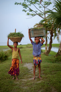 Bangladeshi young rural boys are carrying buckets of grass on their heads, child labour concept 