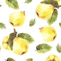 Watercolor hand painted seamless pattern. Yellow ripe juicy quince whole fruits with branch and leaves. Illustration. Repeating clipart for wrapping paper, wallpaper, cover. Isolated white background.
