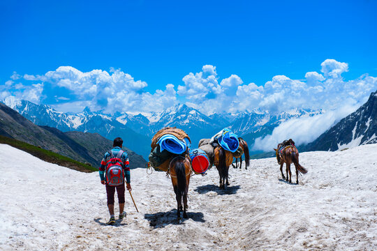 Landscape in the Himalayas Nepal Kashmir valley in the Himalayan region. mountain snow. hiking concept Nature camping, India.