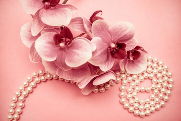 Fototapeta na wymiar Pearl necklace and purple orchid on pink background 