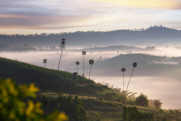 Beautiful scenery and morning mist at Kong Niam Temple Khao Kho Viewpoint Famous winter attractions...