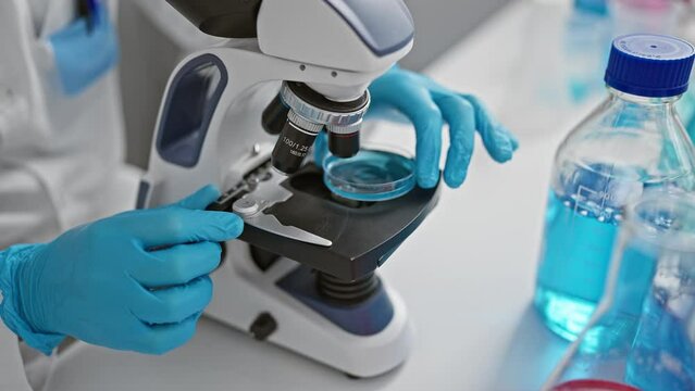 Young hispanic man scientist looking sample with microscope at laboratory