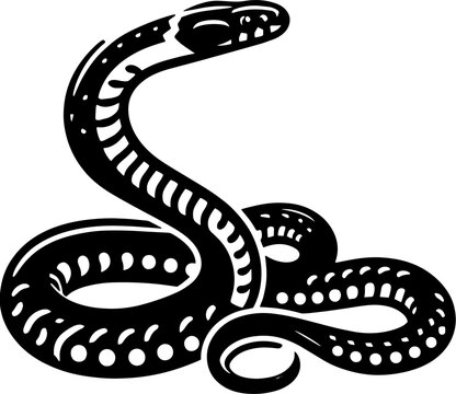 "Banded Water Snake" Images – Browse 489 Stock Photos, Vectors, and