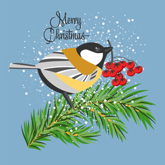 Christmas. New Year. Vector image of a bird with berries on a branch of a fir tree. Congratulation