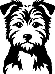 Norfolk Terrier icon 4