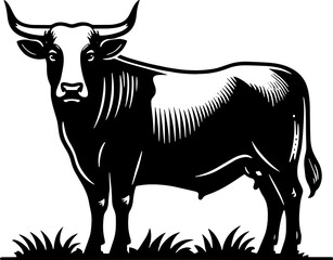 Nguni Cattle icon 8