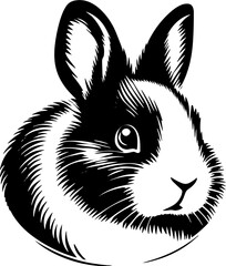 Netherland Dwarf Rabbit icon 9