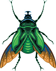 Scarab beetle top view, vector isolated animal.